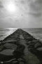 low tide reflections, San Clemente, CA